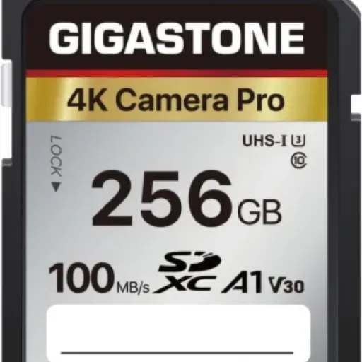 GIGASTONE 256GB SD Card Review: Reliable Storage with a Few Hiccups
