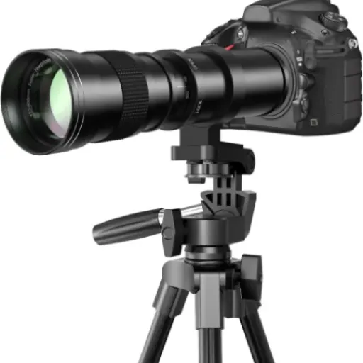 EF/EF-S 420-800mm Lens Review: A Manual Lens for the Dedicated Photographer