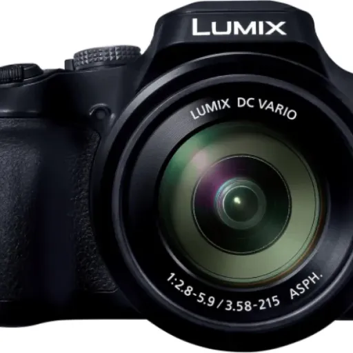 LUMIX FZ80D Review: A Solid Point-and-Shoot For Everyday Use
