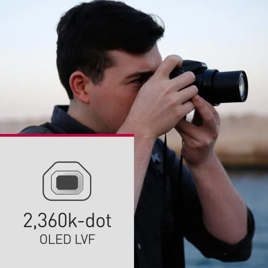 71uCuyXtWaL._AC_SL1500_