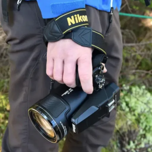 Nikon COOLPIX P950 Review: A Zoom Beast with Some Quirks