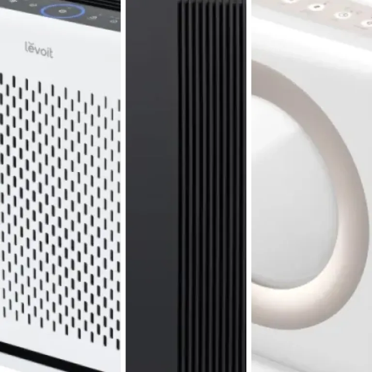 Our selection of the 45 best true HEPA air purifiers (October 2026)