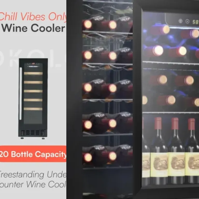 Which wine coolers with digital temperature control to choose? Top 16 (October 2026)