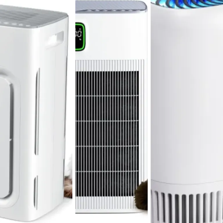 Which air purifiers for pets to choose? Top 13 (October 2026)