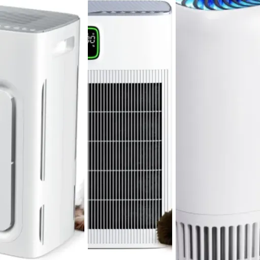 Which air purifiers for pets to choose? Top 13 (October 2026)