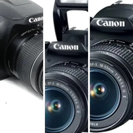 3 best entry level DSLR cameras: our comparison (2026)