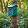 How a wildlife camera in green transforms bird watching in your garden