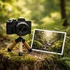 The one mirrorless camera beginners should buy in 2026