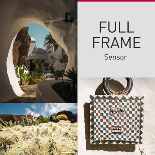 Panasonic Lumix S9 Review: compact full-frame for travel and social video, with a few trade-offs