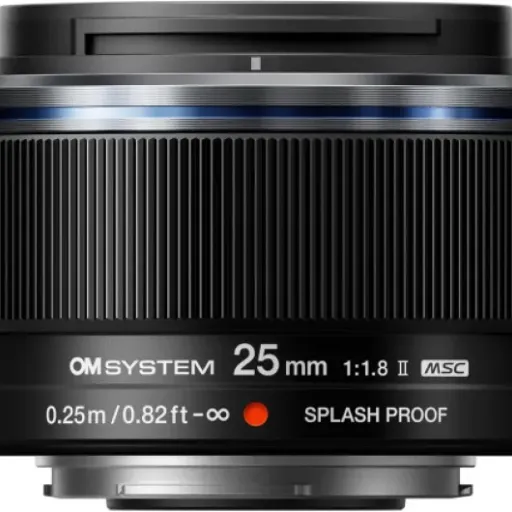 M.Zuiko Digital 25 mm F1.8 II Review: the everyday Micro Four Thirds lens that just works
