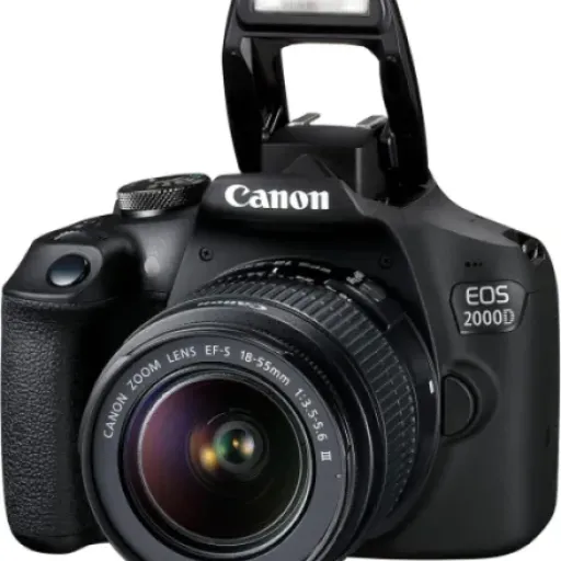Canon EOS 2000D Review: a no-fuss first DSLR that gets the basics right