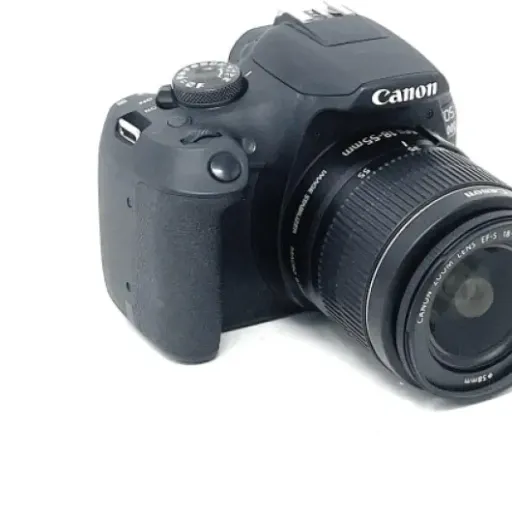 Canon EOS 2000D Review: a no-nonsense DSLR that’s perfect to learn on