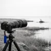 Sony's new 100-400mm F4.5 GM: constant aperture and triple the autofocus speed for wildlife shooters
