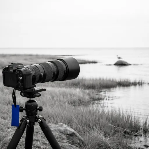 Sony's new 100-400mm F4.5 GM: constant aperture and triple the autofocus speed for wildlife shooters