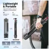 NEEWER Basics TP12 Tripod Review: a cheap travel tripod that feels more serious than its price