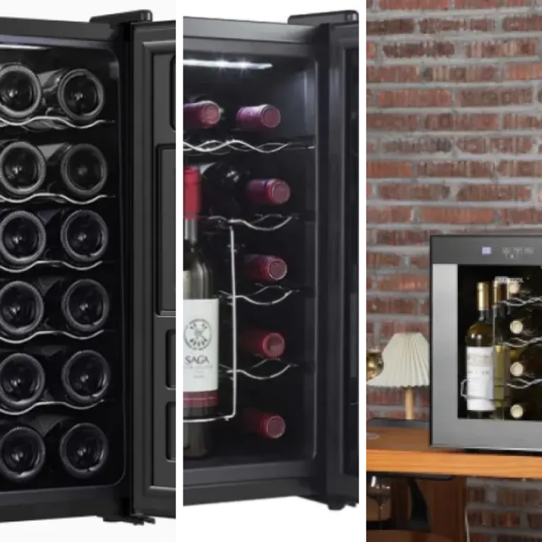 Ranking of the 5 best thermoelectric wine coolers (2026)