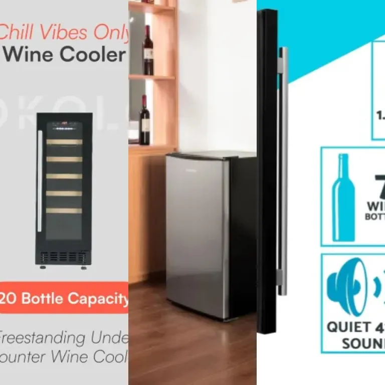 Our selection of the 6 best wine coolers with reversible doors (October 2026)