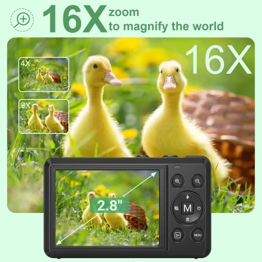 71NcPLgh1NL._AC_SL1500_