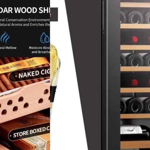 Ranking of the 3 best wine coolers for collectors (2026)