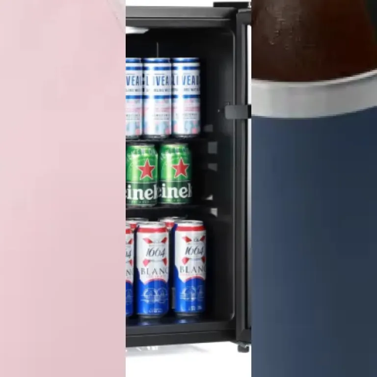 Ranking of the 5 best wine coolers for wine enthusiasts (2026)